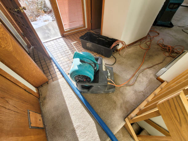Best Carpet water damage restoration  in Burgettstown, PA