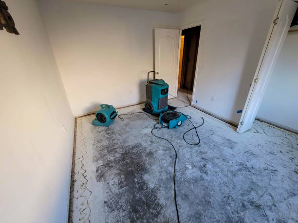 Water damage restoration insurance claims in Burgettstown, PA