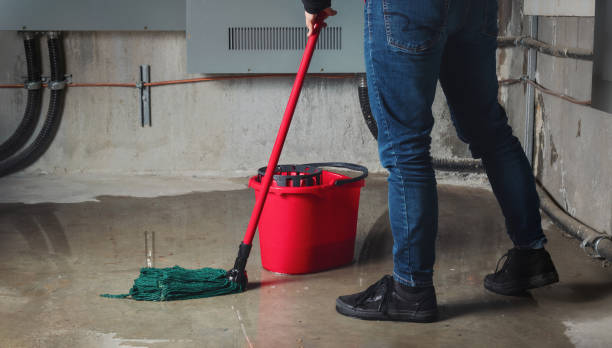Best Emergency water damage restoration  in Burgettstown, PA