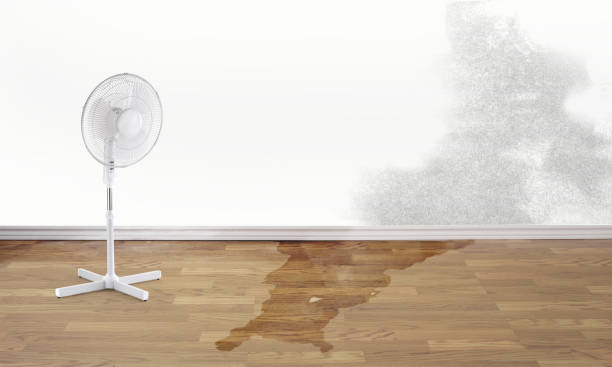 Best 24/7 water damage repair  in Burgettstown, PA