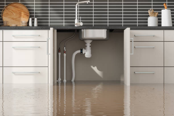 Best 24-hour water damage restoration  in Burgettstown, PA