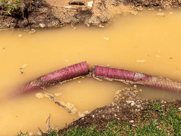 Trusted Burgettstown, PA Water damage restoration Experts