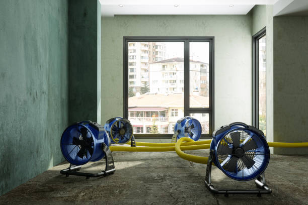 Best Basement water damage restoration  in Burgettstown, PA