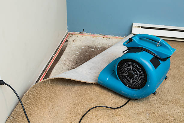 Best Water damage mitigation services  in Burgettstown, PA